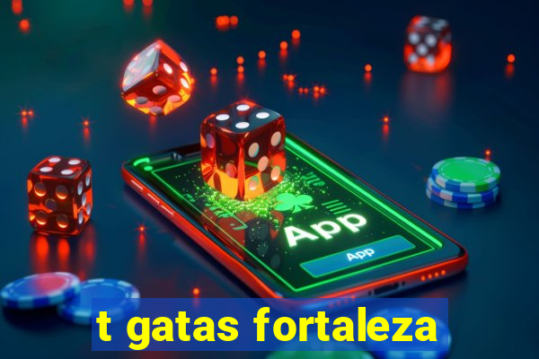 t gatas fortaleza